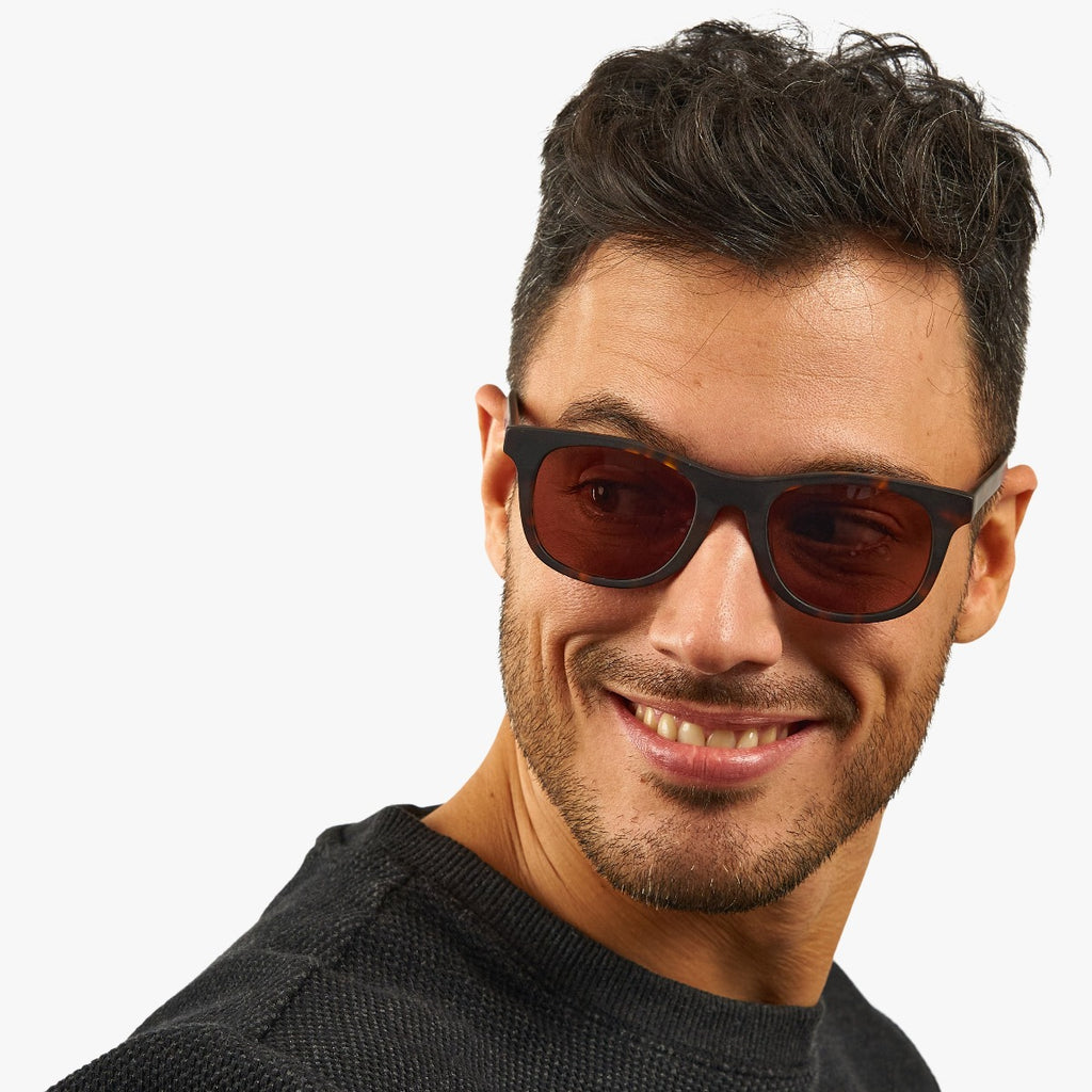 Men's Evans Dark Turtle Sunglasses - Luxreaders.com