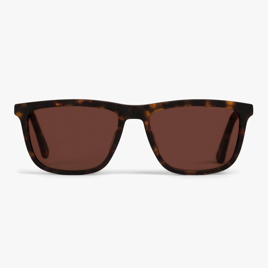 Buy Men's Adams Dark Turtle Sunglasses - Luxreaders.com