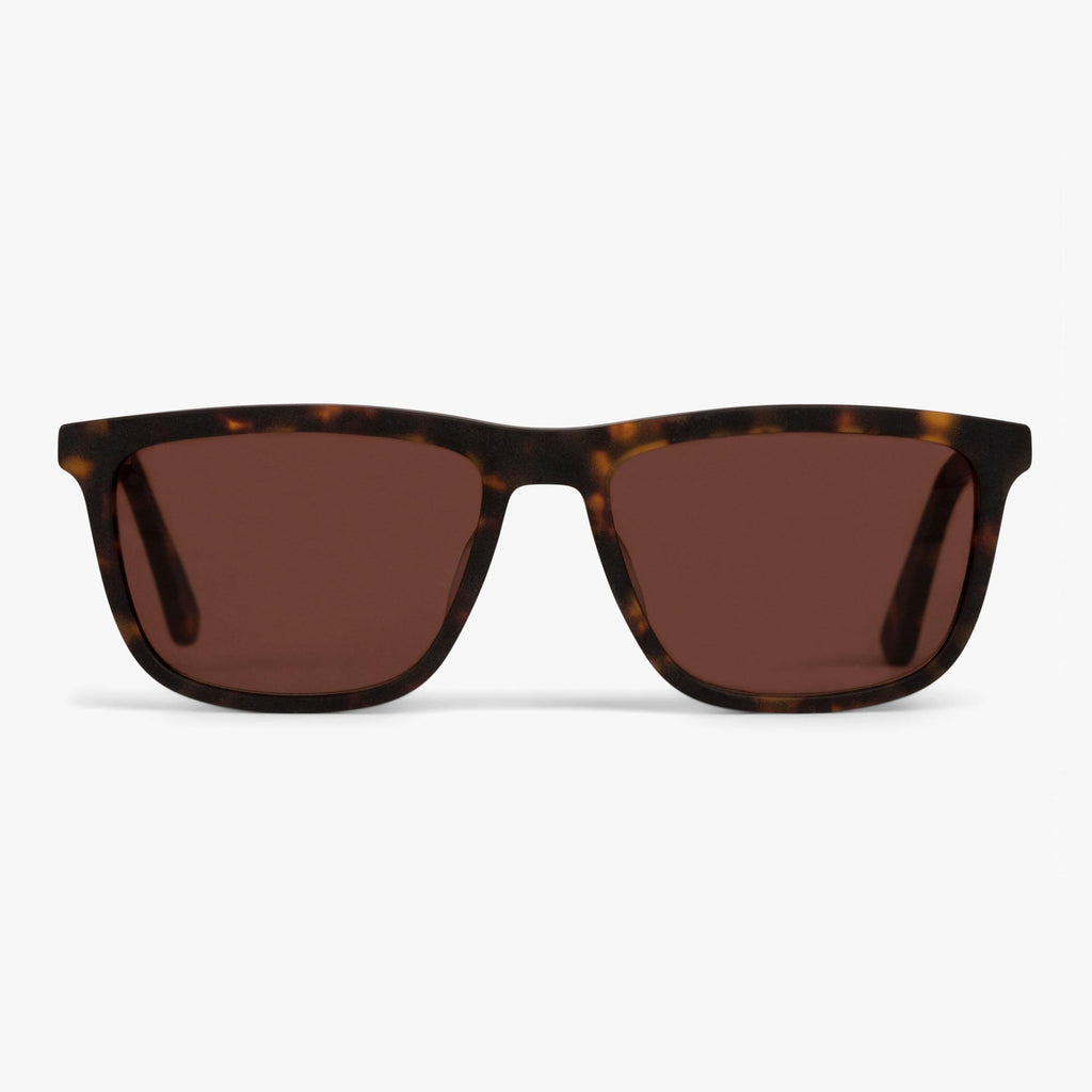Buy Women's Adams Dark Turtle Sunglasses - Luxreaders.com
