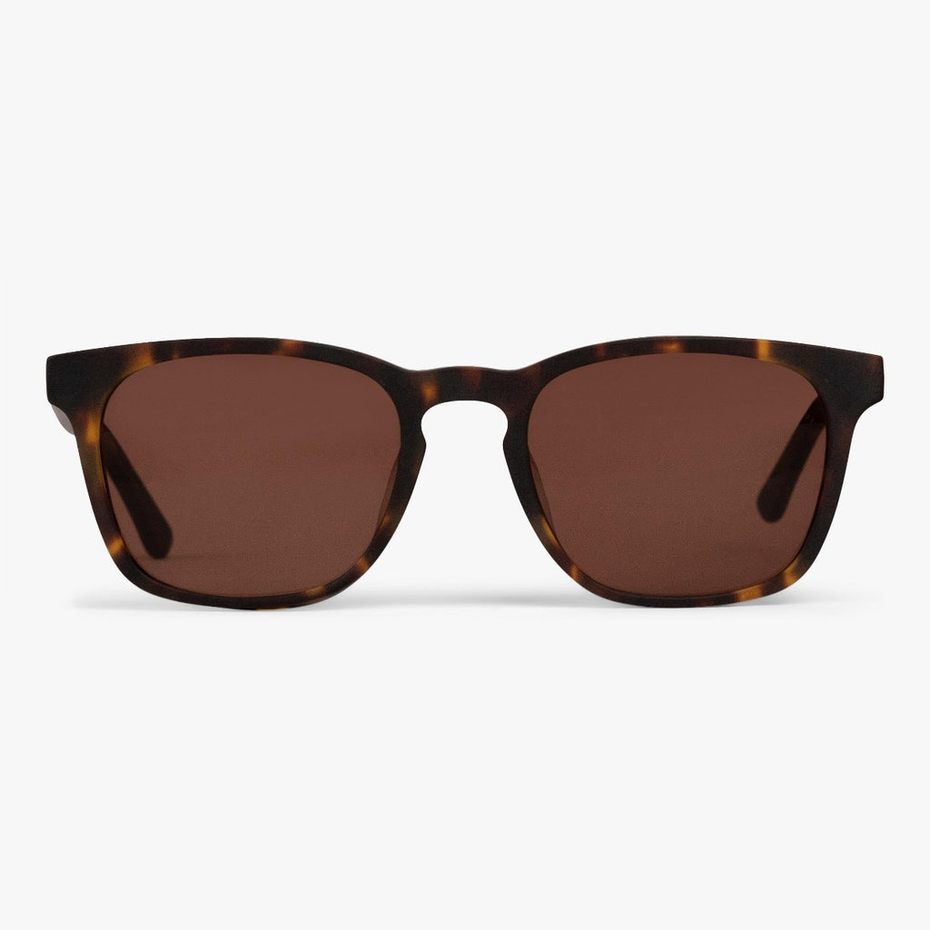 Buy Baker Dark Turtle Sunglasses - Luxreaders.com