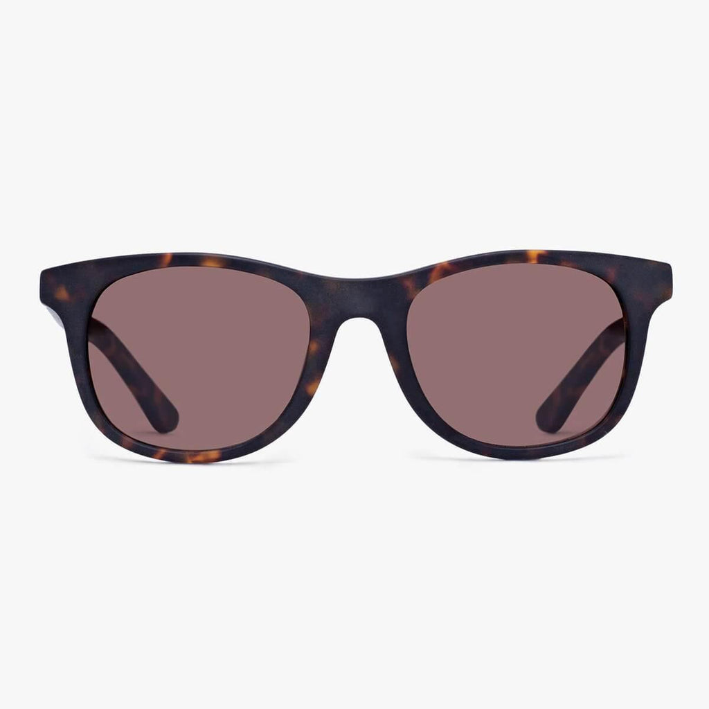 Buy Evans Dark Turtle Sunglasses - Luxreaders.com