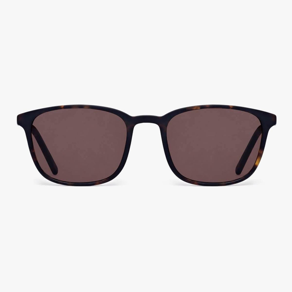 Buy Women's Taylor Dark Turtle Sunglasses - Luxreaders.com