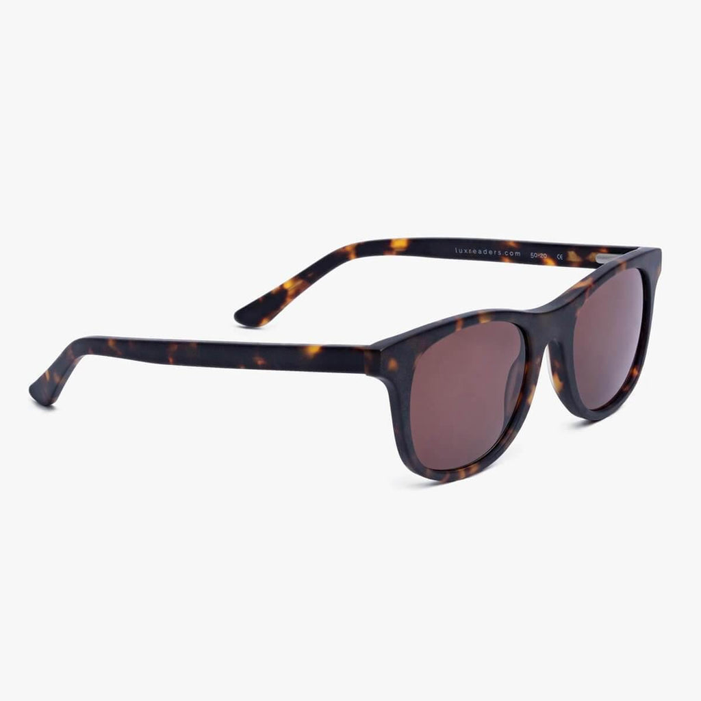 Evans Dark Turtle Sunglasses - Luxreaders.com