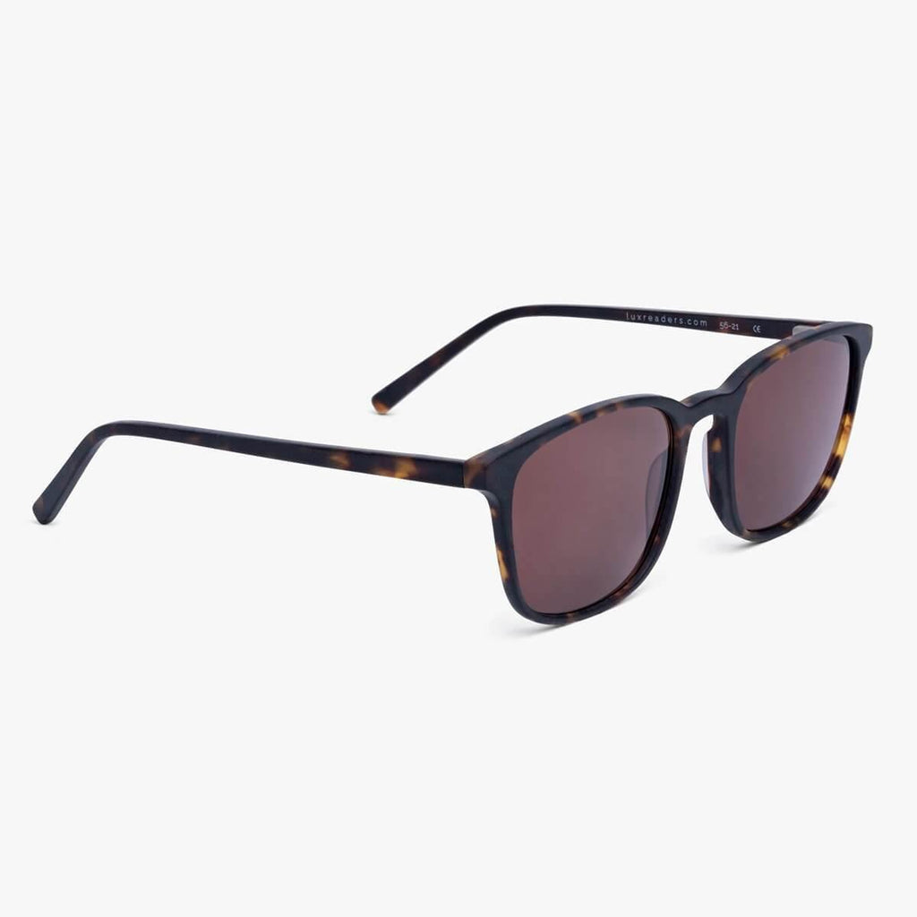 Taylor Dark Turtle Sunglasses - Luxreaders.com