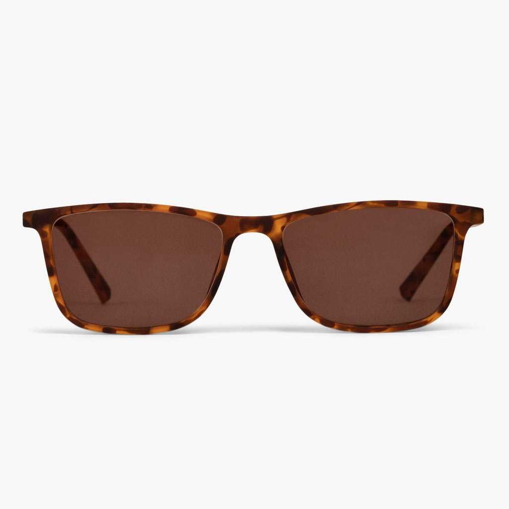 Buy Lewis Turtle Sunglasses - Luxreaders.com